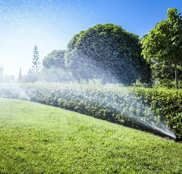 Sprinkler system installation