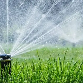 hosepipe ban 2 4201905%20copy.webp